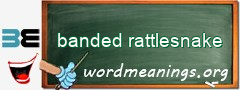 WordMeaning blackboard for banded rattlesnake